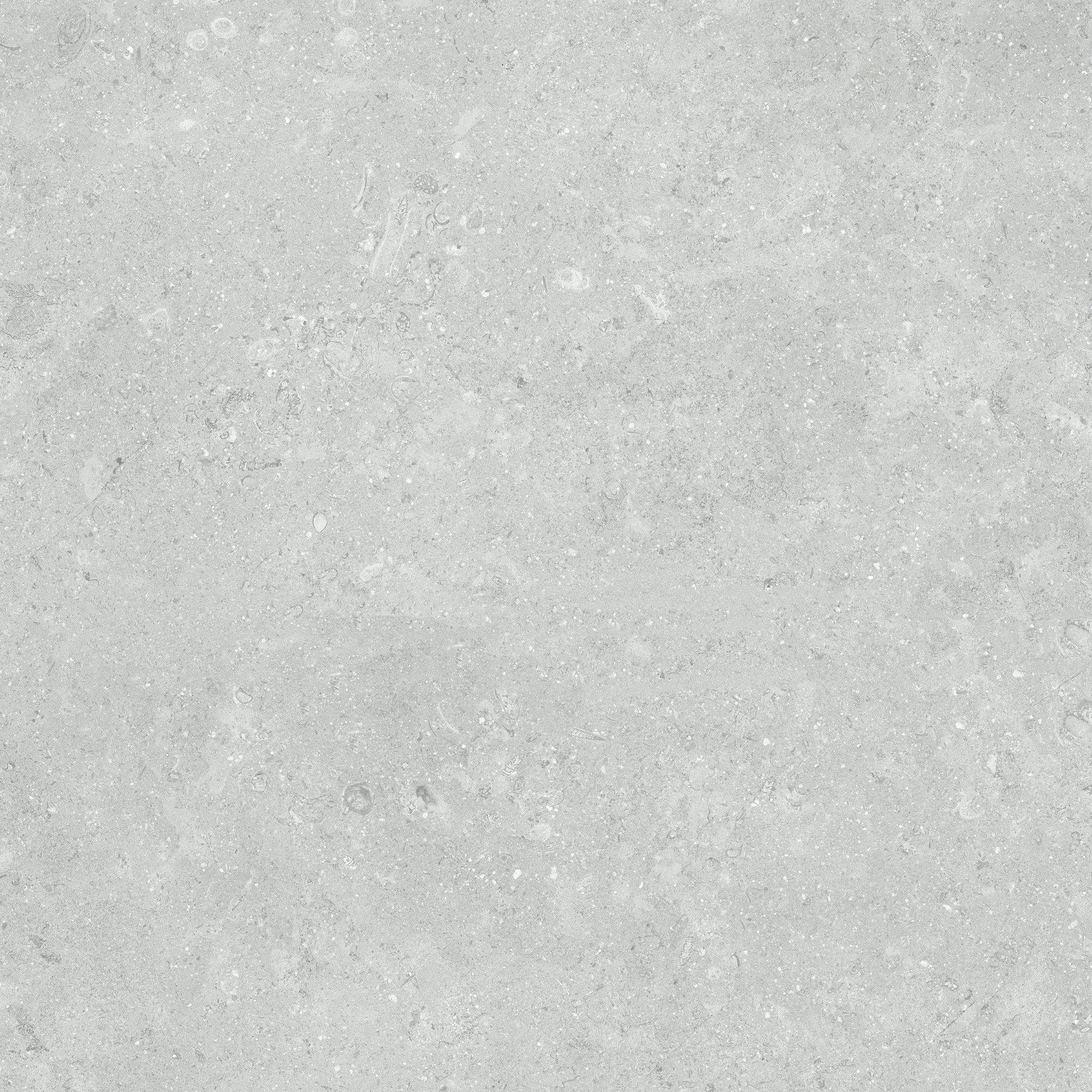 Denver 20X20F Platinum Matte | In Home Stone