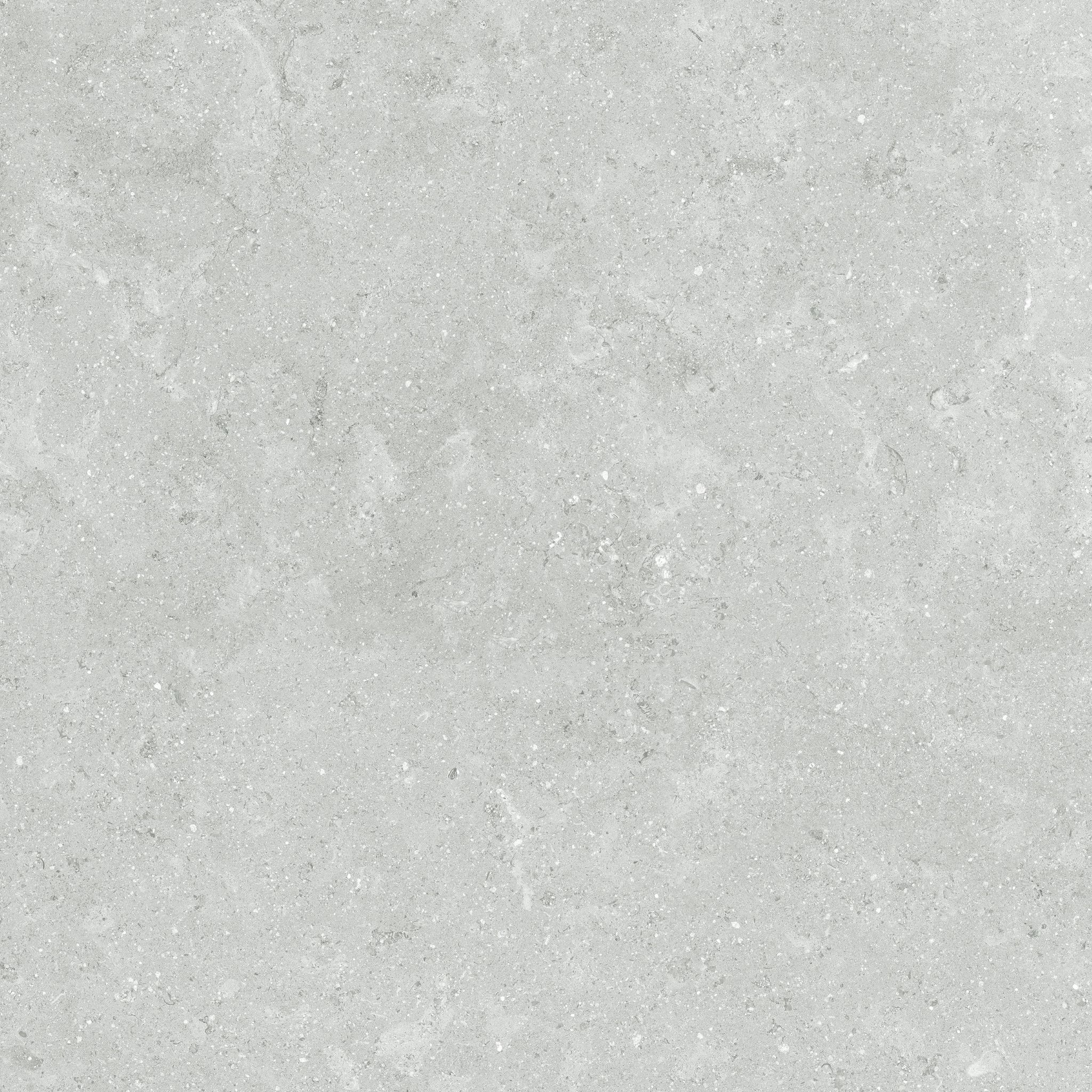Denver 20X20F Platinum Matte | In Home Stone