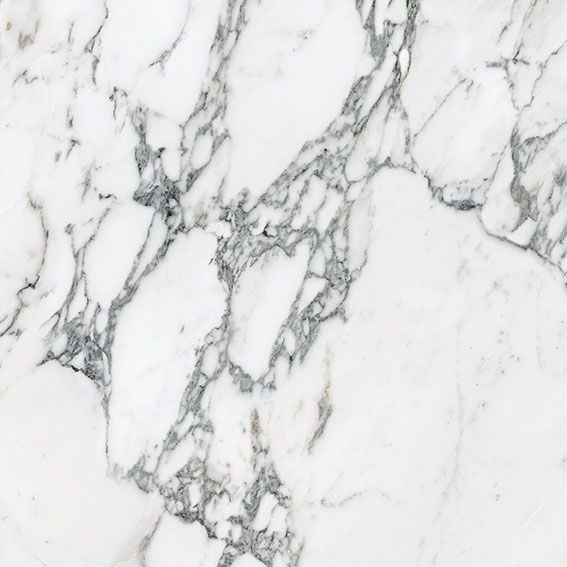 Royal Stoneworks 24X24 Italian Arabescato Polished | In Home Stone