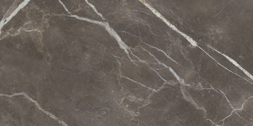 Royal Stoneworks 24X48 Regal Brown Marble Vintage Pv | In Home Stone