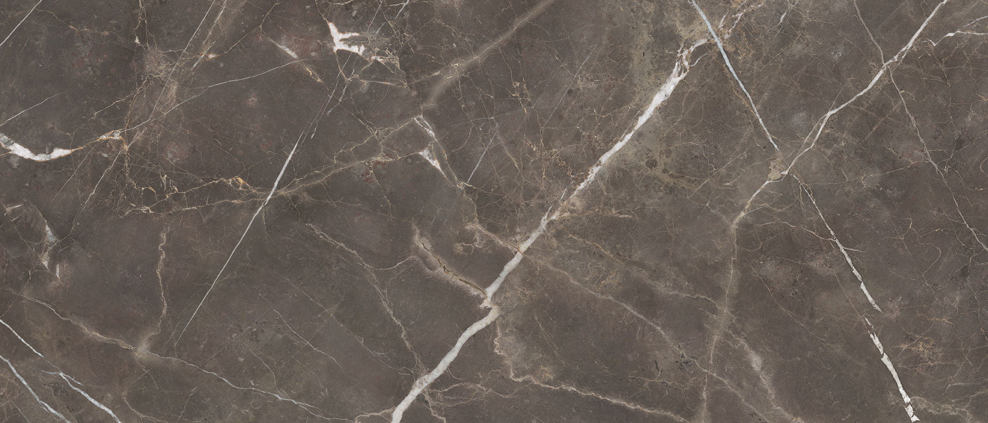 Royal Stoneworks 48X110 Regal Brown Marble Polished | In Home Stone