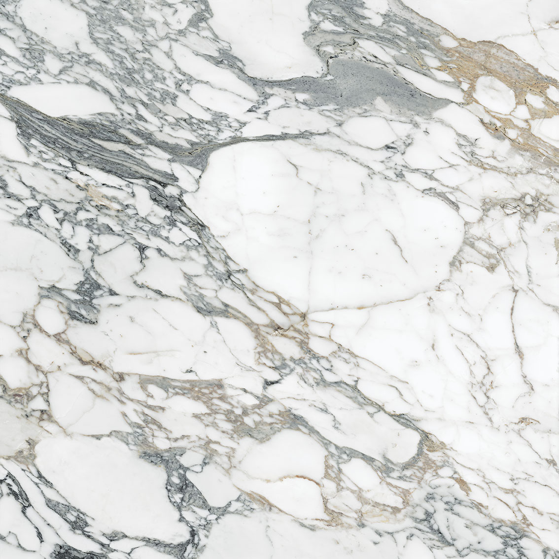 Royal Stoneworks 48X48 Italian Arabescato Polished | In Home Stone
