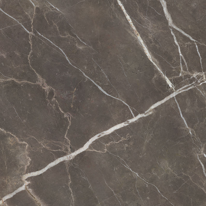 Royal Stoneworks 48X48 Regal Brown Marble Polished | In Home Stone