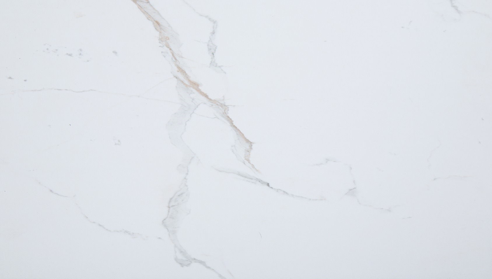 Carrara Marble Wall Tile 25x15 | In Home Stone