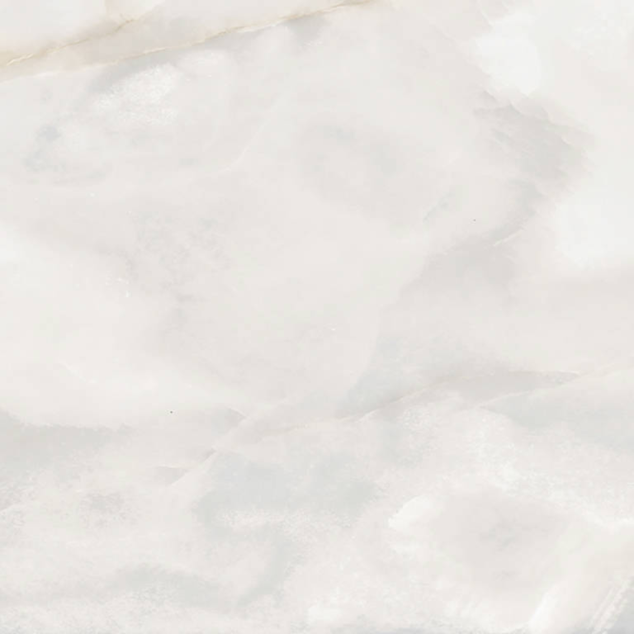 Rendezvous White Polished 24x24 | In Home Stone